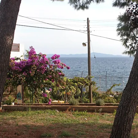 By The Sea Ivan Dolac, Hvar - 5709 公寓 *